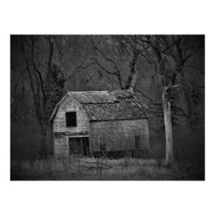 "Decomposition" Photo Print