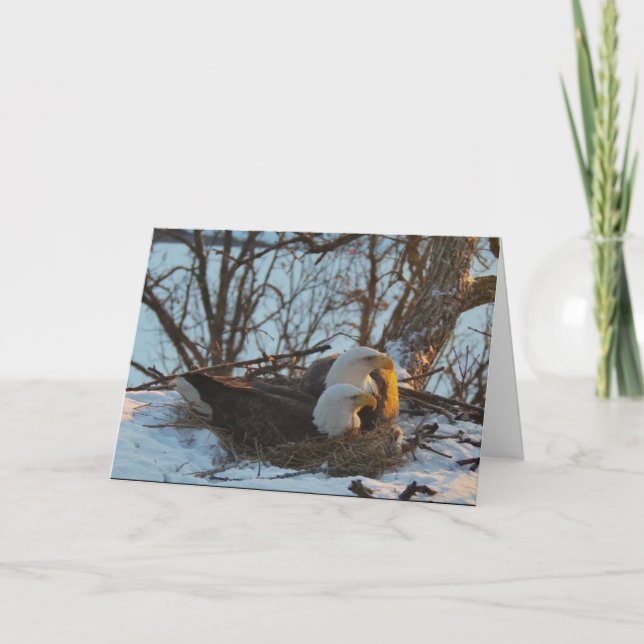 Decorah Nest North Christmas Card (Front)