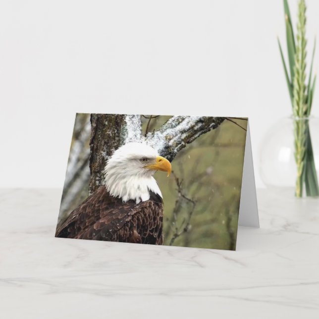 Decorah North Eagles: The Beaver Moon Card (Front)