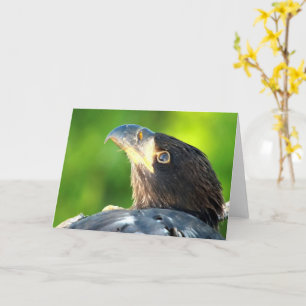 Decorah North Eagles: The Flower Moon Card