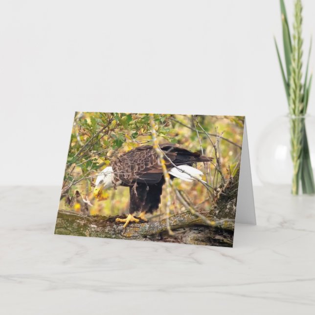 Decorah North Eagles: The Harvest Moon Card (Front)