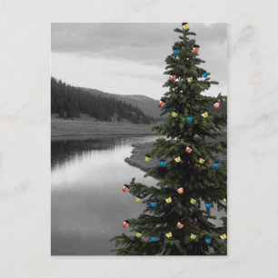Decorated Christmas Tree by Mountain Lake Holiday Postcard