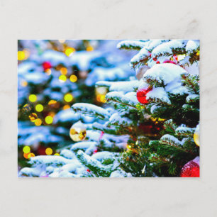Decorated Christmas Tree, Snow, Lights Postcard