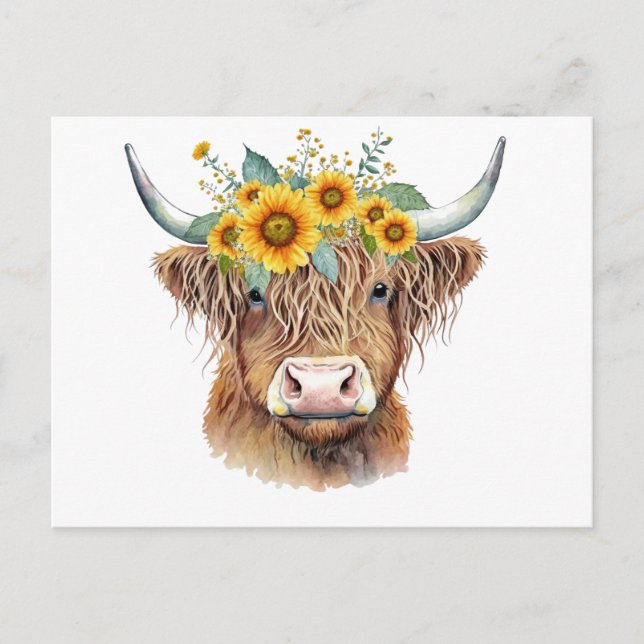 Decorated Highland Cow Postcard (Front)