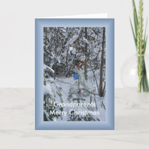 Decorated Outdoor Christmas Tree-Grandparents Holiday Card
