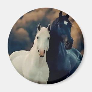 Decoration Magnet
