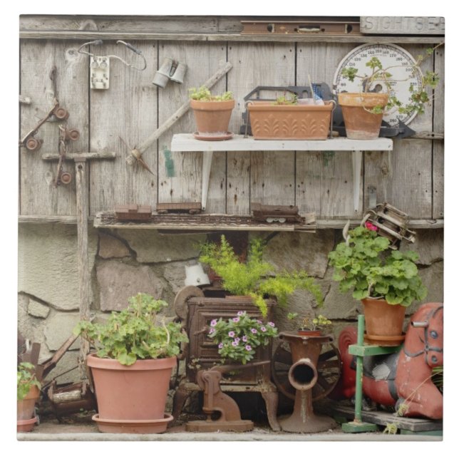 Decorations on wooden fence, Catalina Island, Tile (Front)