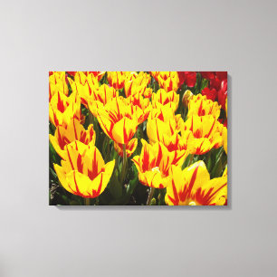 Decorative Art prints Yellow Tulip Flowers Red