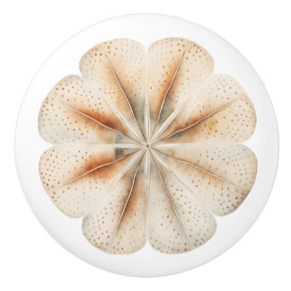 Decorative Beachy ceramic knobs