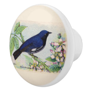 Decorative Blue Warbler Bird Ceramic Knob