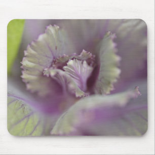 Decorative cabbage mouse mat