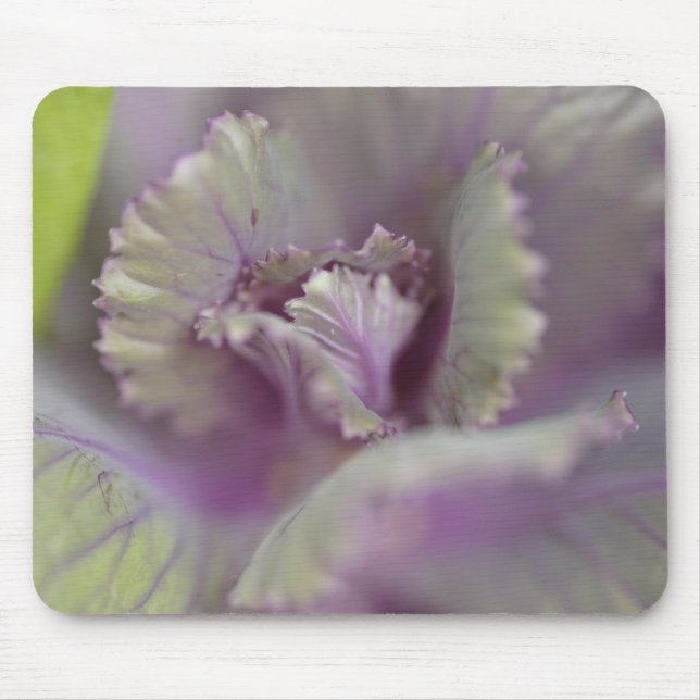Decorative cabbage mouse mat (Front)
