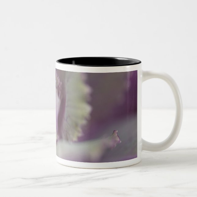 Decorative cabbage Two-Tone coffee mug (Right)