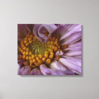 Decorative Canvas Wall Art – Timeless Design
