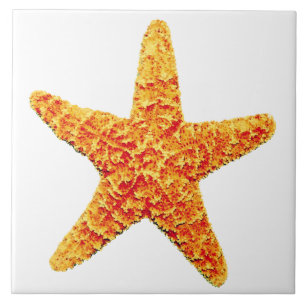 Decorative Ceramic Starfish Tile