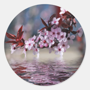 Decorative cherry tree blossoms classic round sticker