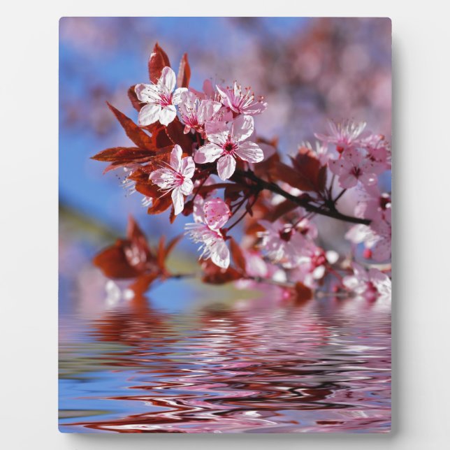 Decorative cherry tree blossoms plaque (Front)