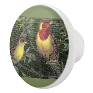 Decorative Colorful Birds on Green Ceramic Knob