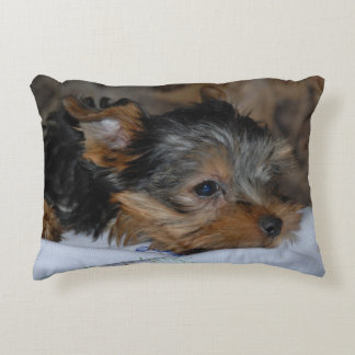 decorative cushion with a little dog