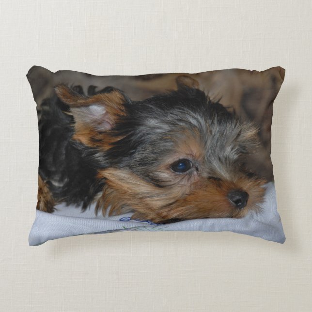 decorative cushion with a little dog (Front)
