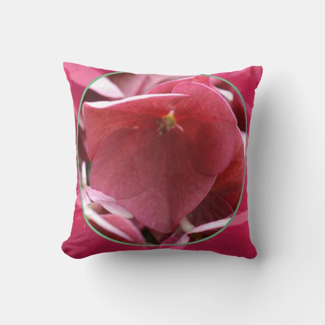 decorative cushions (Front)