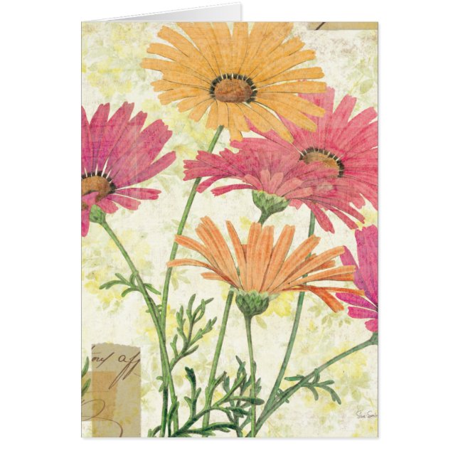 Decorative Daisies (Front)