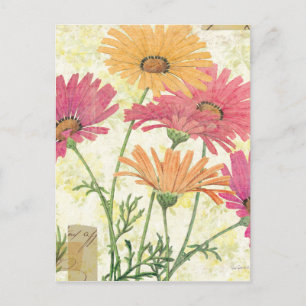 Decorative Daisies Postcard