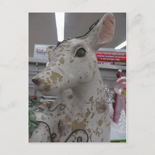 Decorative Deer Postcard (Front)