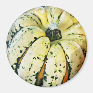 Decorative Fall Squash Refrigerator Magnet