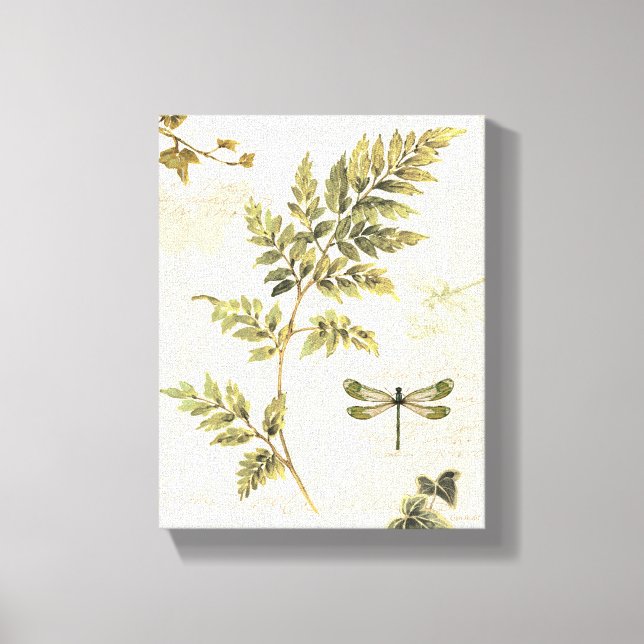 Decorative Ferns and a Dragonfly Canvas Print (Front)