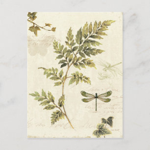 Decorative Ferns and a Dragonfly Postcard