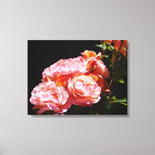 Decorative Fine Art prints Pink Roses Canvas (Front)