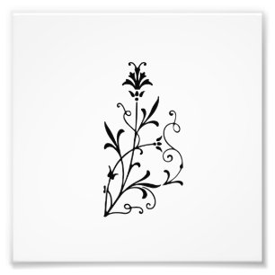 Decorative Floral Flourish Photo Print
