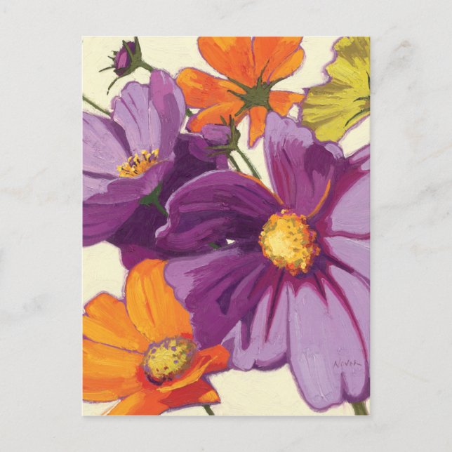 Decorative Flowers Postcard (Front)