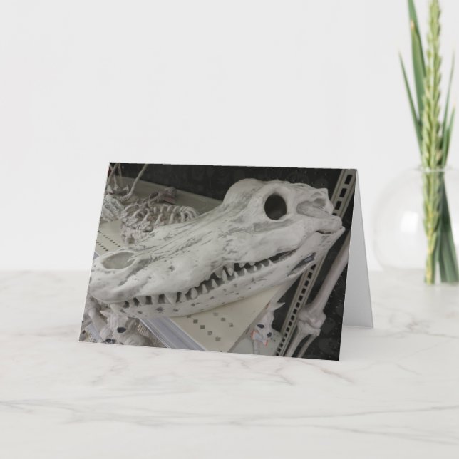 Decorative Gator Skull Card (Front)