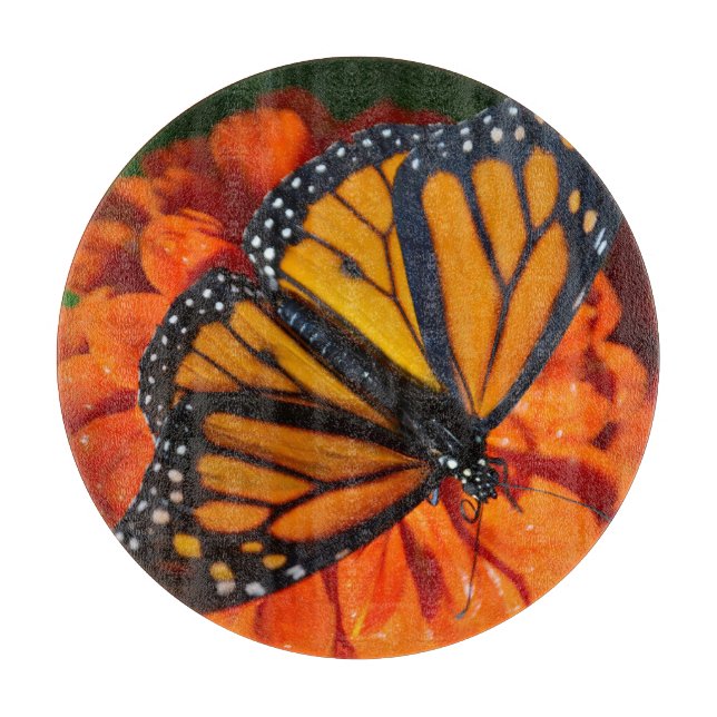 Decorative Glass Cutting Board (Front)
