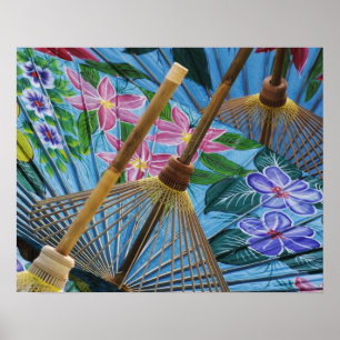 Decorative hand painted umbrellas in the village poster