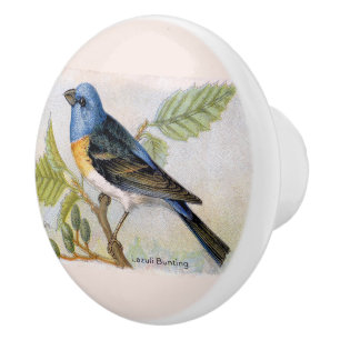 Decorative Lazuli Bunting Bird Ceramic Knob