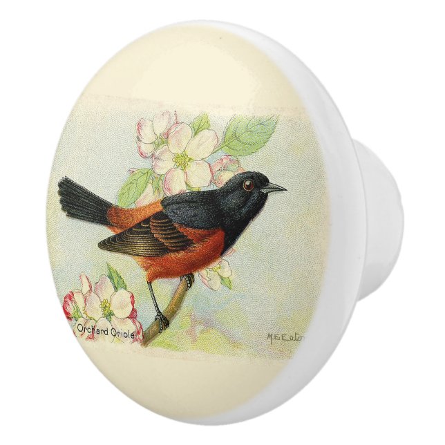 Decorative Orchard Oriole Bird Ceramic Knob (Right)