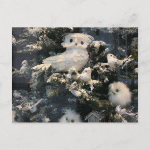 Decorative owl on christmas tree holiday postcard