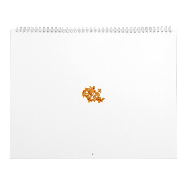 Decorative pattern of orange and white stylised fl calendar (Cover)