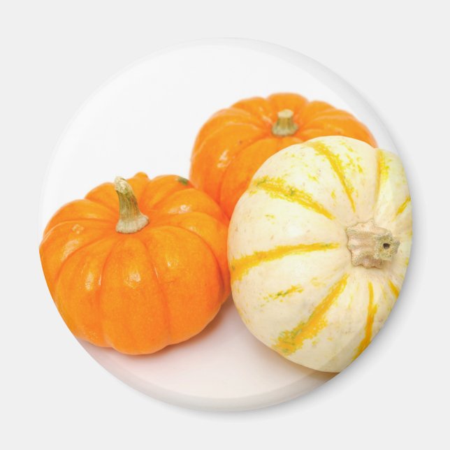 Decorative Pumpkins Magnet (Front)