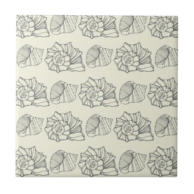 Decorative Shells Pattern Tile (Front)