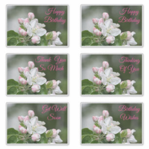 Decorative Stickers For All Occasions