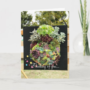 Decorative Succulents Card