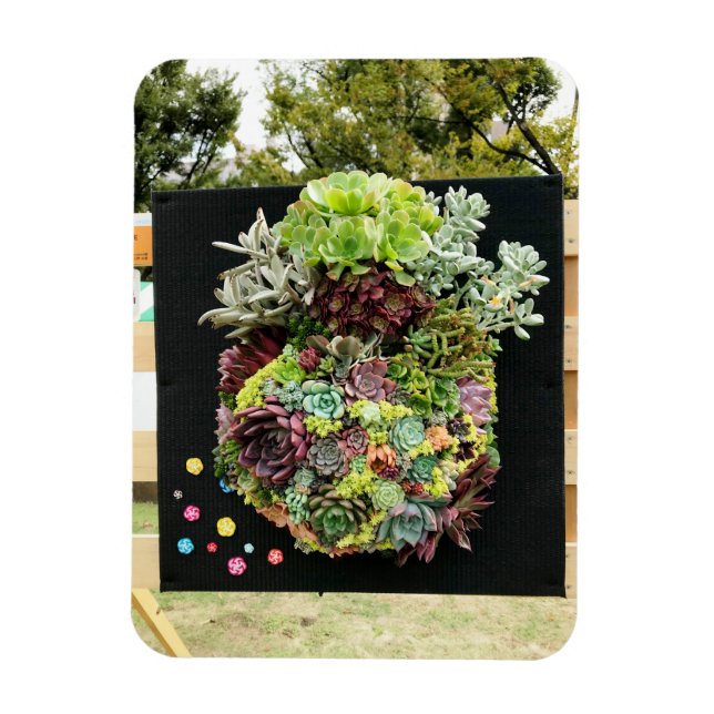 Decorative Succulents Magnet (Vertical)