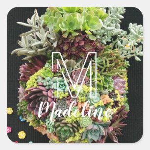 Decorative Succulents Square Sticker