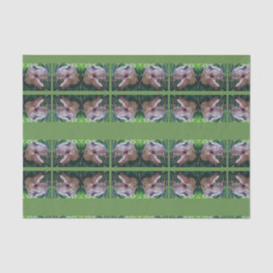 Decorative tissue paper Dinosaur