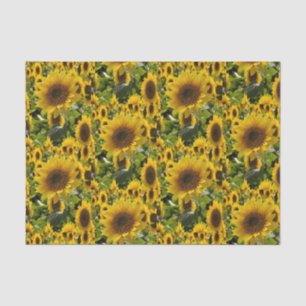 Decorative tissue paper Sunflower