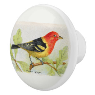 Decorative Western Tanager Bird Ceramic Knob
